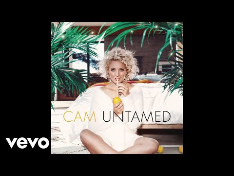Cam - Half Broke Heart (Audio)