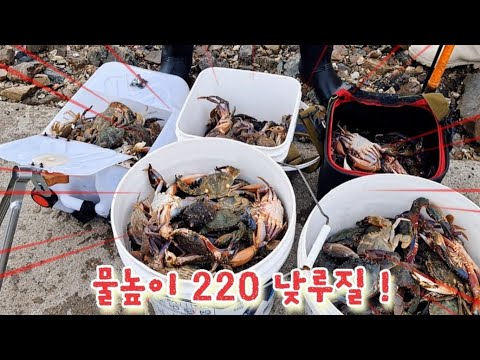 10월 14일 1시간 낮루질! 물이 높아도 만통할수 있는곳 꿀 포인트 위치 딱 90% 공개 합니다