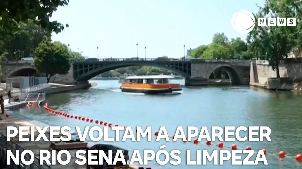 Peixes voltam a aparecer no rio Sena após limpeza