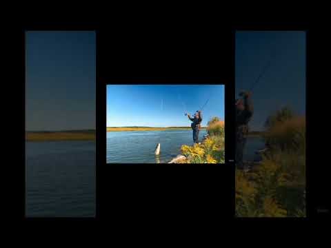 #fishing hgfvs cs #facts ❤️❤️❤️🐳🐳🐳🐳