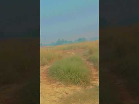 न्यू वीडियो ट्रेंडिंग सोंग #song #love