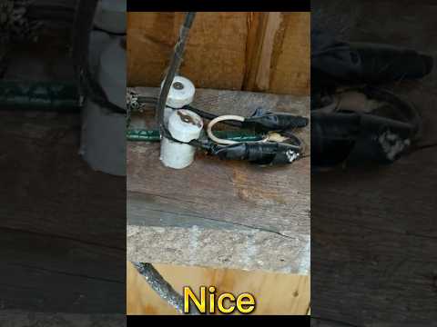 ￼ Old electrical, knob and tube, wow!