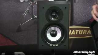 Enrich With other bands telex Roland CM-220 CUBE Monitor System - YouTube