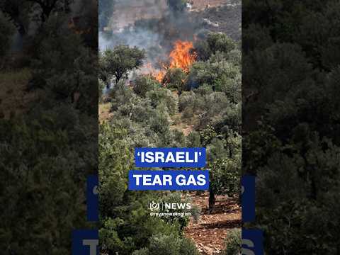 ‘Israeli’ <strong>tear</strong> gas fired at farmers sparks fire in Nablus