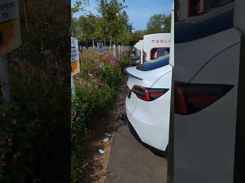 Wild flowers in bloom at the Oxford EV charging hub