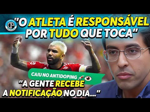 image para ilustrar o artigo