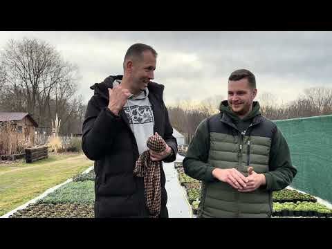 Évelőkertészet látogatás a szezon előtt. Páva, liba, tacskó, fürjek és kenguru :) Mini állatkert. 