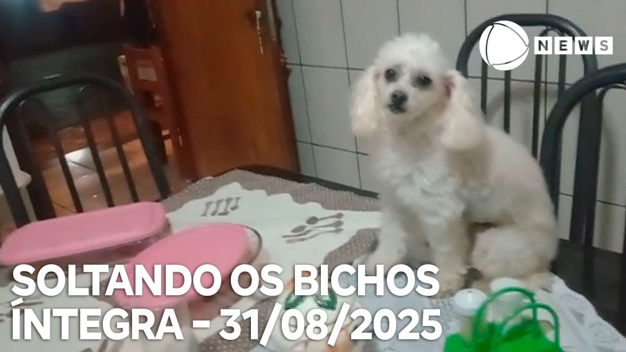 Soltando os Bichos – 31/08/2025