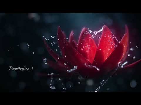 Pookal Pookum Tharunam Aaruyire | Tamil Lyrical Video Song | Dil sere |💞💞💞