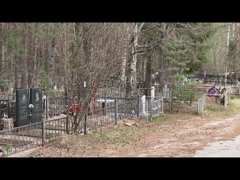 Быть или не быть новому кладбищу в Краснозатонском?