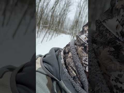 🐗 No time to think. Only instinct. Driven wild boar.