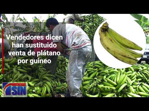 Cambian plátanos por guineo