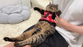 動画サムネイル