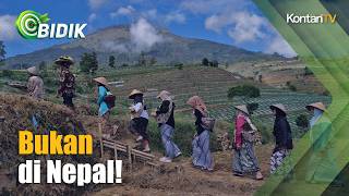Bukan Nepal! Ini Pesona Desa di Lereng Sumbing yang Viral
