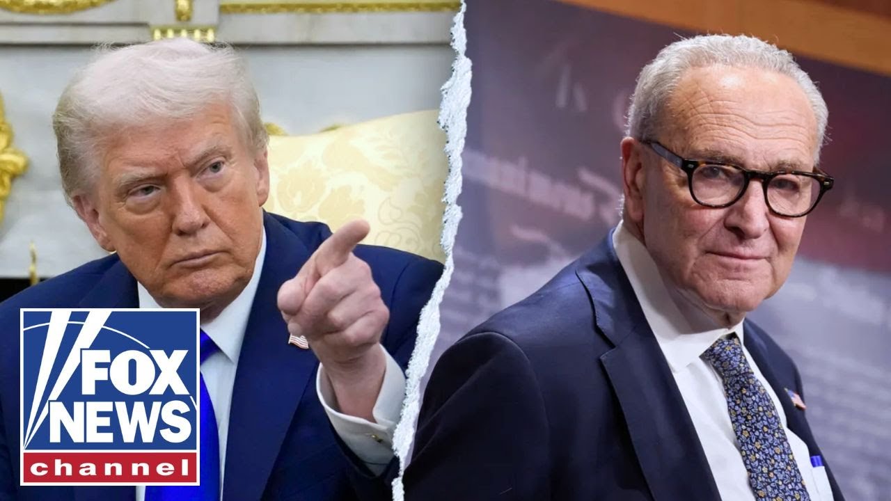 Chuck Schumer just wrote this for Republicans: Lisa Boothe