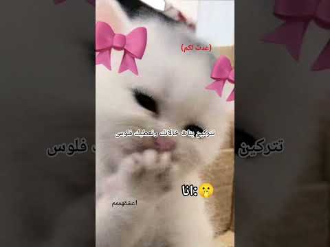 #ريال_مدريد #لايك #اكسبلور #ترند احبهممممم #شلتنا 🥹🎀