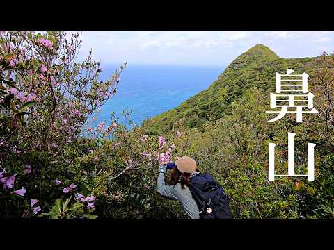 【鼻山】ノマツツジ観賞登山【2025年4月13日】