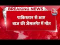 Breaking News: Jaisalmer सीमा पर BSF को मिले बाज की मौत, पंख-पंजे पर लगा था GPS और छल्ला | Aaj Tak  - 00:33 min - News - Video