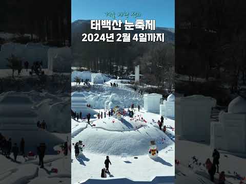 겨울 여행 성지 눈꽃 핀 태백산 등산 강추.. 빨리 가세요! #태백산눈축제