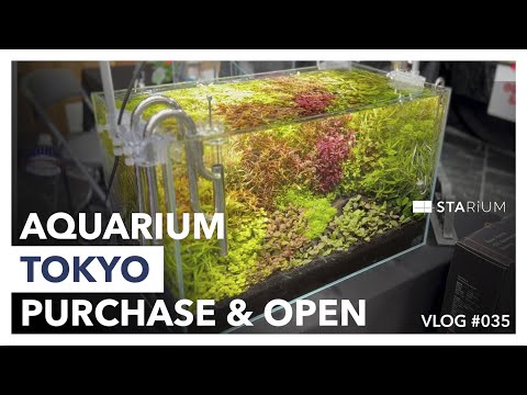 【アクアリウム】行くなら2日目が正解？アクアリウム東京で見つけた掘り出しモノを購入して開封する休日/AQUARIUM TOKYO 2022/#Vlog#035