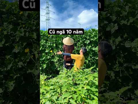 10 năm 1 chặng đường hôn nhân quá dài hay ngắn