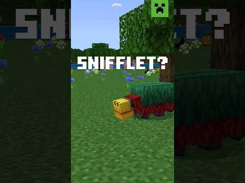 ASK MOJANG - How the Sniffer got it's name?