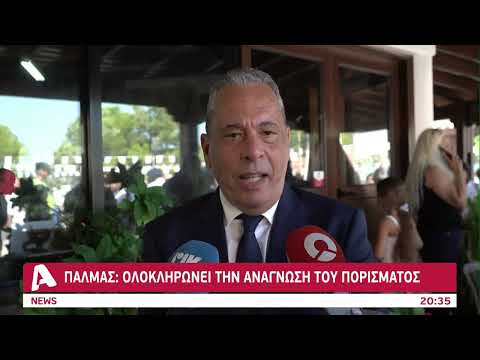 Πυρκαγιά Καλό Χωριό: Πότε τελειώνει την ανάγνωση του πορίσματος ο Πάλμας