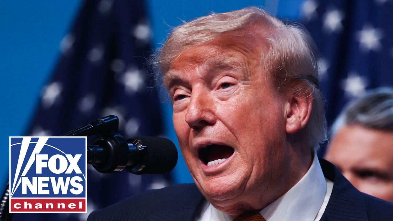 Trump brings ‘common-sense approach’ to AI panic surge, WSJ columnist says
