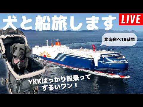 【第171回】犬連れの旅はお金がかかる。商船三井さんふらわあで行く、北海道はデッカイどう!