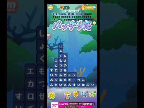 ポイ活日記・たんクラレベル7613Lv7613ステージ7613攻略クリア 解説 サムネイル