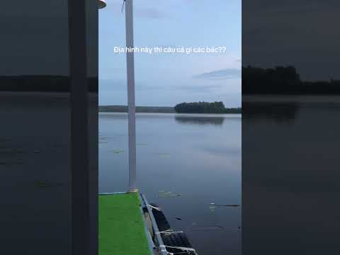 Bão câu tuyệt đẹp ở hồ Suối Giai - Bình Phước #ducauky #fishing #cauca #camping #camtrai