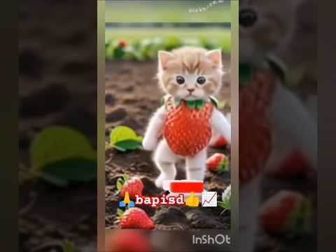 teacup dog breeds / teacup puppies 🐕 mini wood toy art / hand craft #shorts #dog #toys #cute #puppy🙏