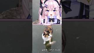 Cat wants fish trapped in ice 🐱🐟