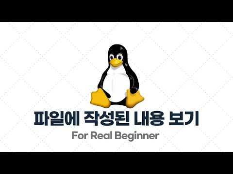 리눅스 입문·실전 - 3.4. 파일에 작성된 내용 보기 (vim, cat)