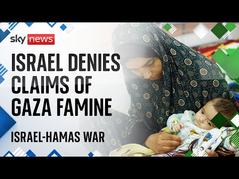 Israel denies Gaza is at risk of famine as IDF investigates deadly strike on aid convoy