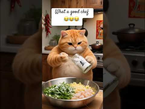 🐱 “When your cat secretly rules the house 😂 #cat #funny #cats #animals #catshorts #animallife #ai