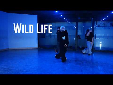 Ambré - Wild Life Choreography HAYOUNG