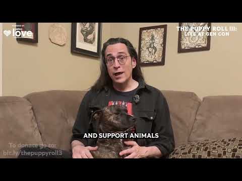 Amelia, Mark Meer‘s mixed breed sorcerer pup | The Puppy Roll III: LIVE at Gen Con