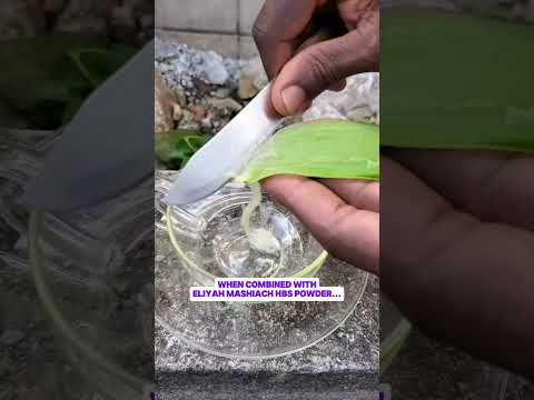 How to make the best aloe vera tea