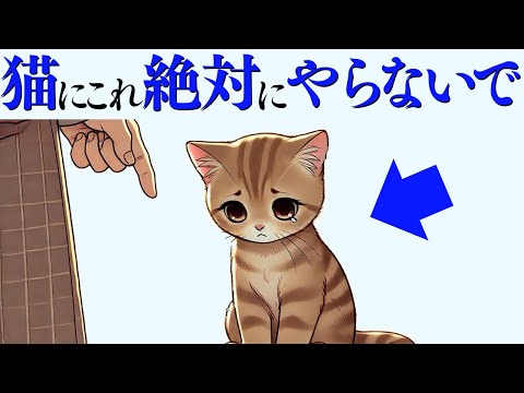 猫の動画サムネイル - 【猫に絶対やってはいけないこと】 猫の雑学 #猫 #ねこ