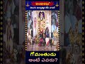 గోమంతుడు అంటే ఎవరు? || Sri Chaganti Pravachanalu ||  Hindu Dharmam TV Special Progarm