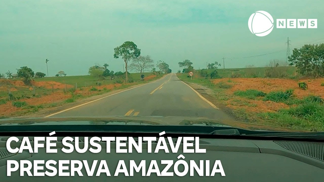 Hora da Virada café sustentável gera renda e preserva a Amazônia