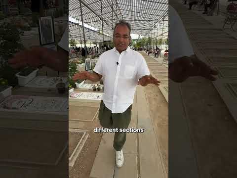 Inside Iran's largest cemetery