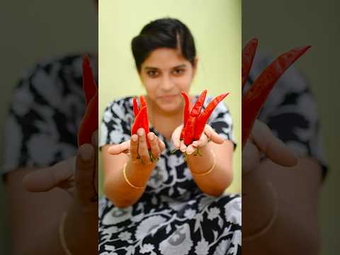 Pandu Mirchi Pickle 🤤 🔥 #dpfoods