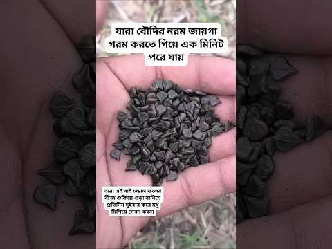 #plantsofindia #plants #shortvideo#gardenplants #garden การตอนมะละกอ โดยไม่ใช้ดิน ไม่ใช้ แกลบ.