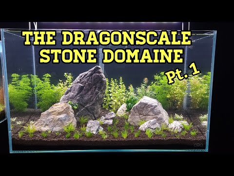 The Dragonscale Stone Domaine_ Part 1 This is my Dragonscale Stone Domaine aquascape, please join me as I show you the build process for t