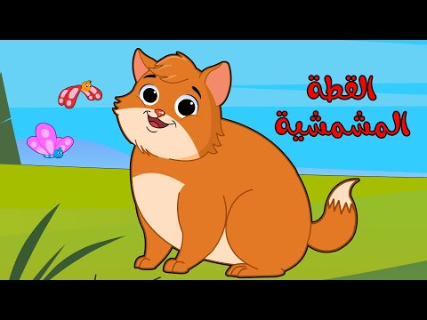 اغنية القطه المشمشيه حلوه بس شقيه | اغاني اطفال عالم لولو