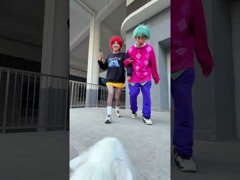 Only Rumi has a loving heart