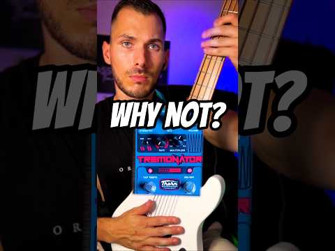 Why Aren't More Bass Players Using Tremolo?