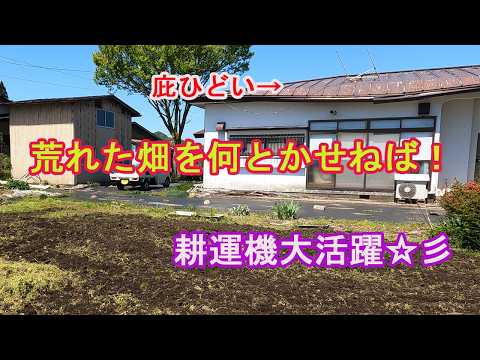 春になり・・雑草が活気づく時期（＞＜）祖母の畑も含めて雑草対策に奔走する大型連休でした！